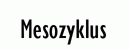 Mesozyklus
